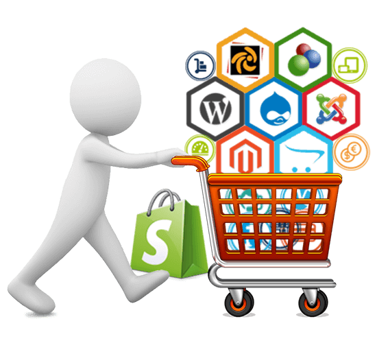 tienda online o e-commerce desarrollada para la marca que vos quieras